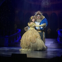 Disney Dreams, Disney Wonder
