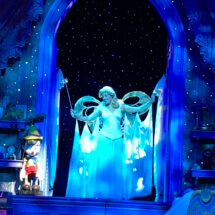 Disney Dreams, Disney Wonder
