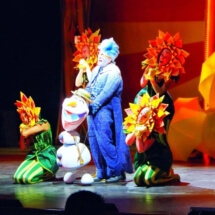 Frozen A Musical Spectacular, Disney Wonder