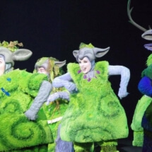 Frozen A Musical Spectacular, Disney Wonder