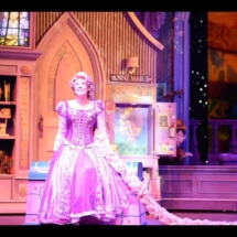 Disney Dreams, Disney Wonder