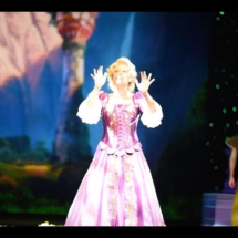 Disney Dreams, Disney Wonder