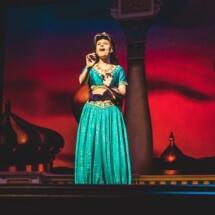 Aladdin A Musical Spectacular, Disney Fantasy